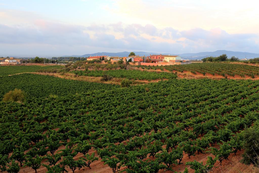 Hotel Mas Castell De Gimenelles Sant Jaume dels Domenys Exteriér fotografie
